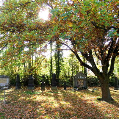 Parkfriedhof St. Martini Stadthagen - Gräber im Herbst