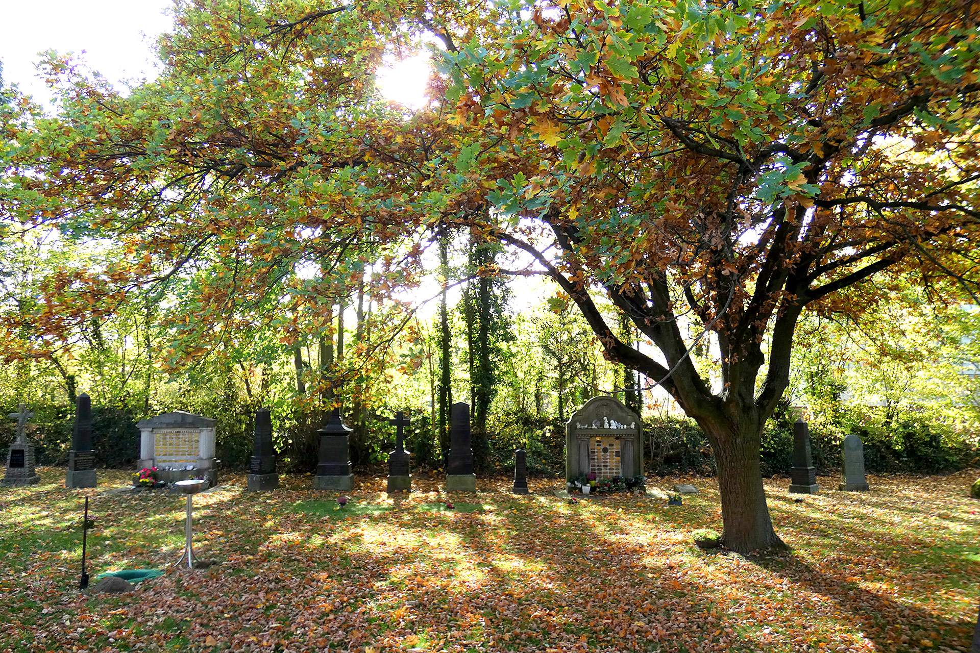 Parkfriedhof St. Martini Stadthagen - Gräber im Herbst