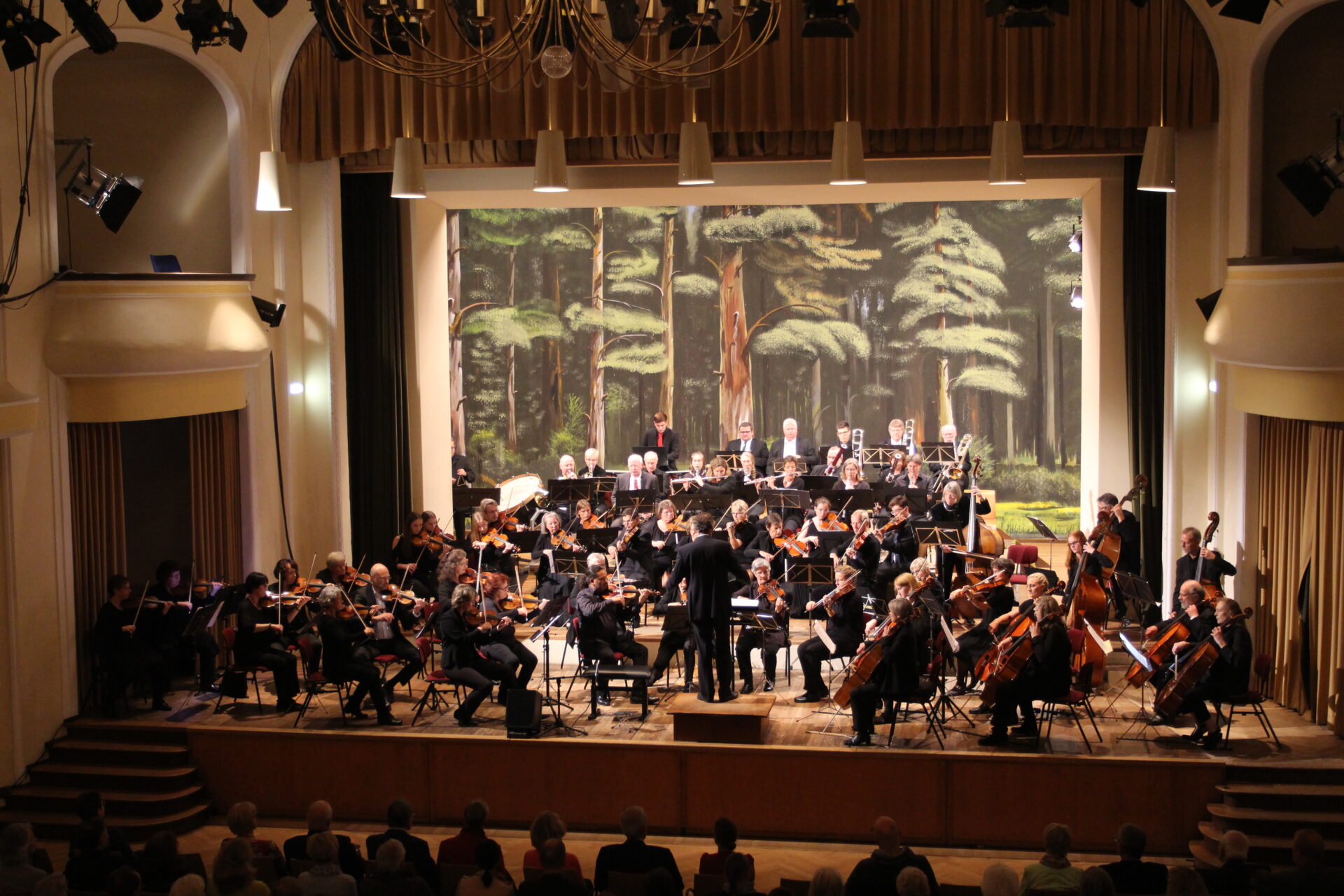 Sinfoniekonzert in St. Martini