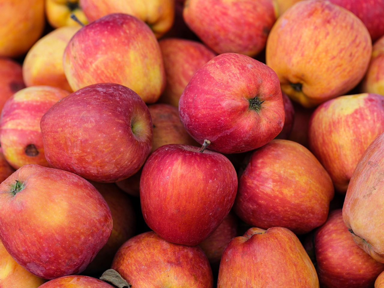 Herbstgestöber (Apfelmarkt)