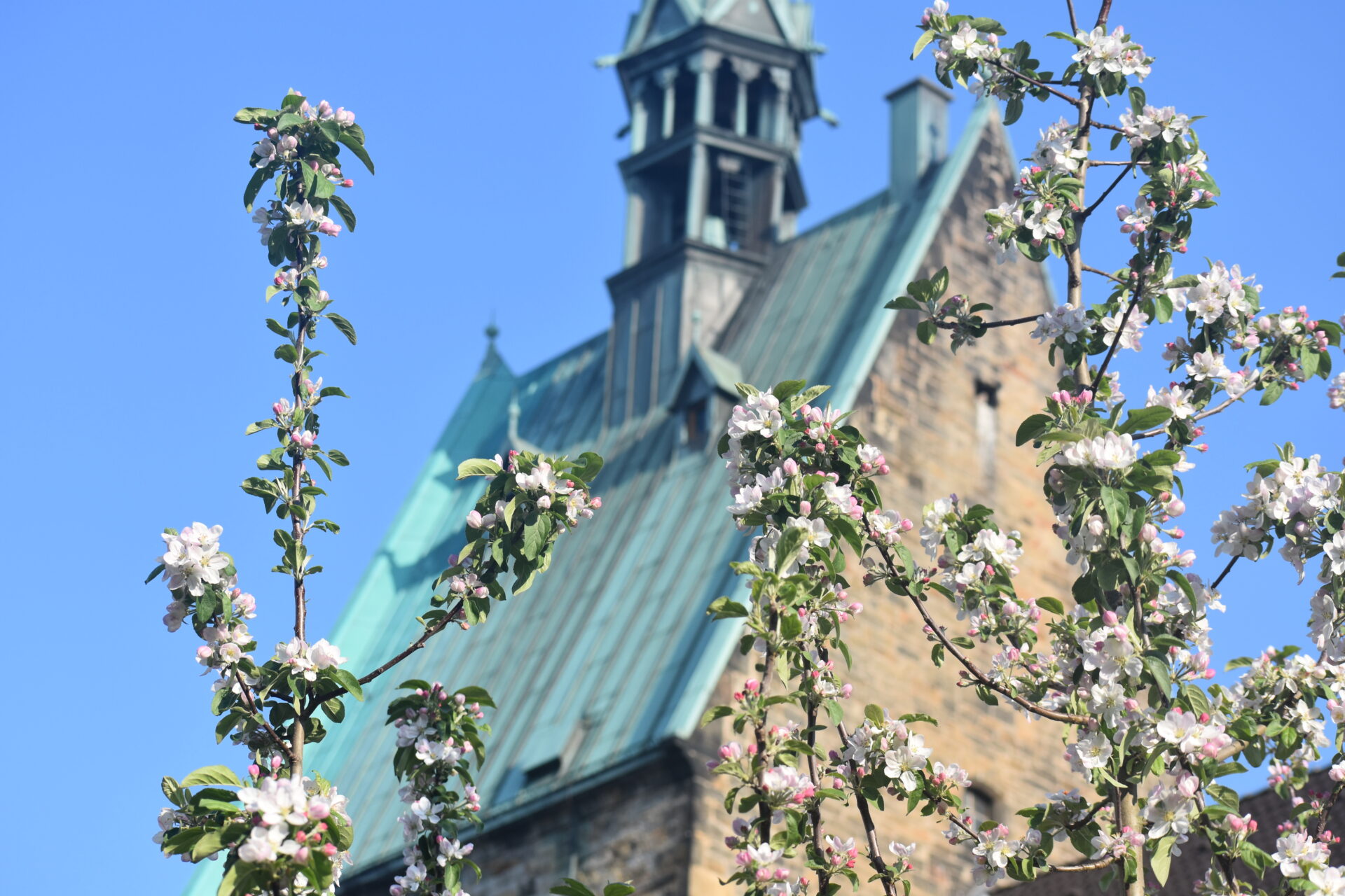 Querflöte und Orgel bei der Musikalischen Andacht zur Marktzeit im April
